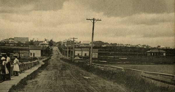 Pine Point
